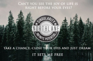 Northlane - Quantum Flux