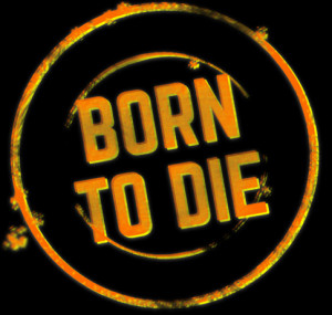 In South Africa, Ranchers Are Breeding Mutant Animals to Be Hunted