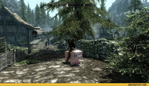 Skyrim Funny Pictures Best