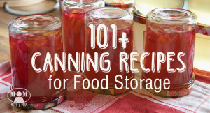 Canning Recipes for your garden produce, game - all to build your food ...