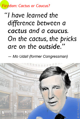 fizzdom.com cactus or caucus capitol mo udall dc politics political ...