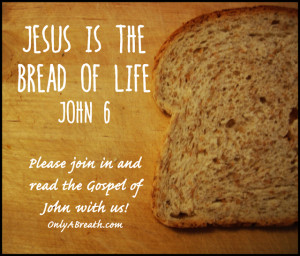 ... january 29 john 6 22 34 esv i am the bread of life 22 on the next day