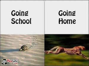 Going home vs going to school indian student funny meme which is very ...