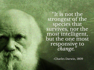 Charles Darwin and the Bumblebee (Humble Bee)