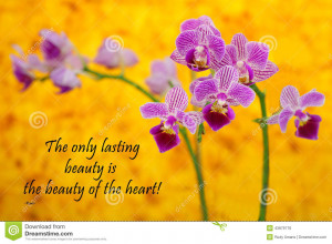 quote about life and spirit by the Persian Poet Rumi with a beautiful ...