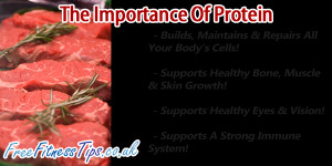 Pictures of Proteins in the Body