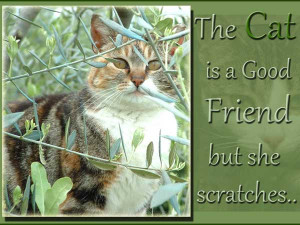 The cat is a good friend but she scratches...