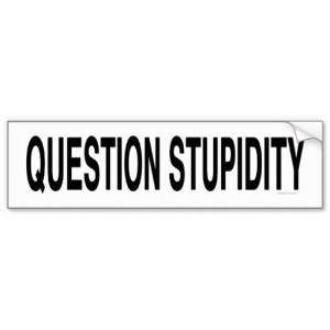 Question Stupidity Sarcastic Slogan Sticker Bumper Sticker