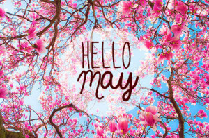 flowers, hello, hola, may, mayo, quote