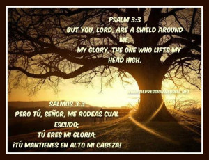 Related Pictures inspirational psalm bible verses bible quotes zimbio