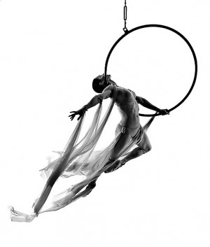 Pole dancing and aerial hoop Aerial Hoop, Artists Dance, Ariel Hoop ...