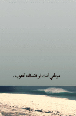 ... Quotes In Arabic Writing ~ Love Quotes In Arabic | Daily Photo Quotes