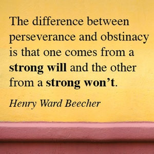 Quote: The difference between perseverance and obstinacy is that one ...
