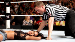 WWE AJ Lee vs Paige