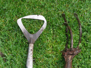 Quotes About Backstabbing Friends And Liars Cool Dont Forget Duck ...