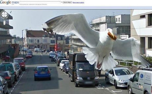 Google street view mishaps