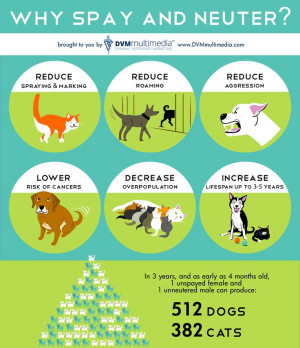 Be a responsible pet owner by saying or neutering your beloved pets!