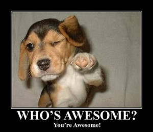 YOU ARE AWESOME!