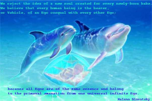 File Name : quotedolphons.jpg Resolution : 603 x 400 pixel Image Type ...