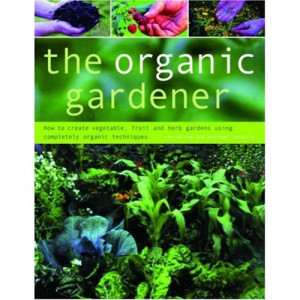 Gardening Planning Small-Space Container, Designs,Low-Maintenance ...