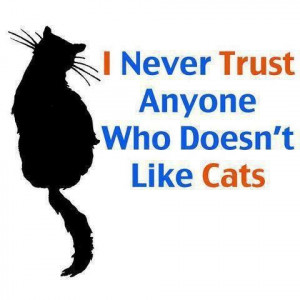 never trust anyone who doesn't like cats!