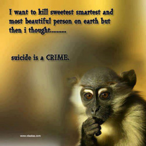 Suicide Is a Crime ~ Funny Quote
