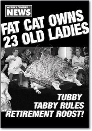 Fat Cat Unique Adult Humor Birthday Greeting Card Nobleworks