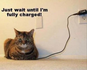 Just wait until I’m full charged