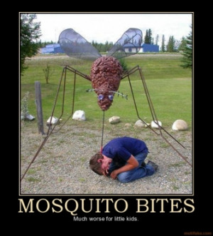 Mosquito Bites Much Worse...