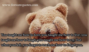 Quotes about you forgot to teach me how to forget you
