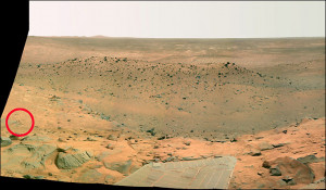 Mystery image of 'life on Mars'