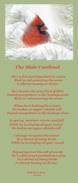 Cardinal Bird Quotes
