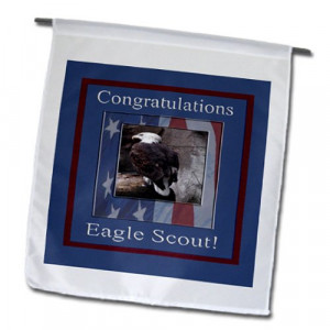 3dRose fl_40518_1 Congratulations Eagle Scout Eagle in Flag Frame ...