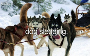 ... , dog, dog sledding, husky, husky dog, love, quotes, snow, text, thi