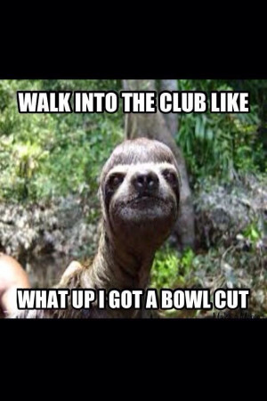 sloth... just flipping funny lol