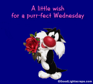 ... Wednesday Greetings and Quotes for Orkut, Myspace, Facebook, Hi5