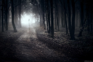 ... Alone in Forest Path Lonely Sad Wallpaper images 1080p photos pics