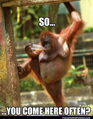 Super funny picture of a zoo animal having a good time!