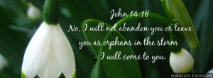 ... will not abandon you or leave you as orphans in the storm - John 14:8