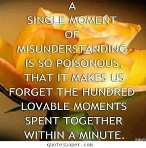 single moment of misunderstanding quotes about life