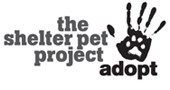 American Humane Supports The Shelter Pet Project!