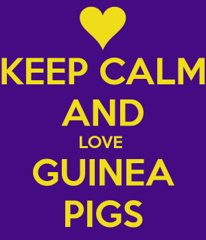 KEEP CALM AND LOVE GUINEA PIGS