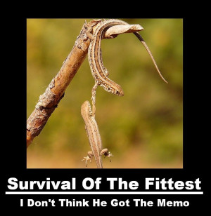 Survival Of The Fittest Humans Survival of the fittest.