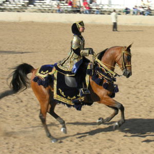 Arabian Craft Horse Show Arabian