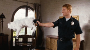 Cat gun silencer | Best Funny Gifs and Animated Gifs Updated Daily ...