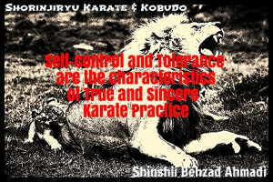 Okinawa Shorinjiryu Karate & Kobudo Organization