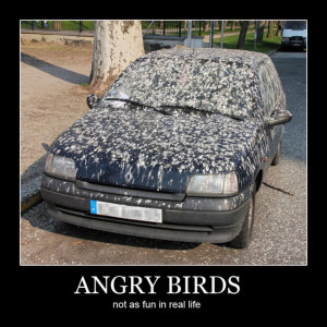 Funny Quote – Angry Birds + Car = Bird Poop Madness