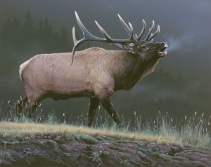 big elk bugle Image