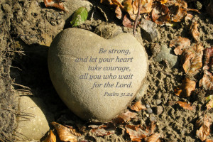 Happy Friday & Be Well! 