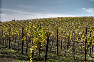 ... quotes, the SparkNotes The Grapes of Wrath Study Guide has everything